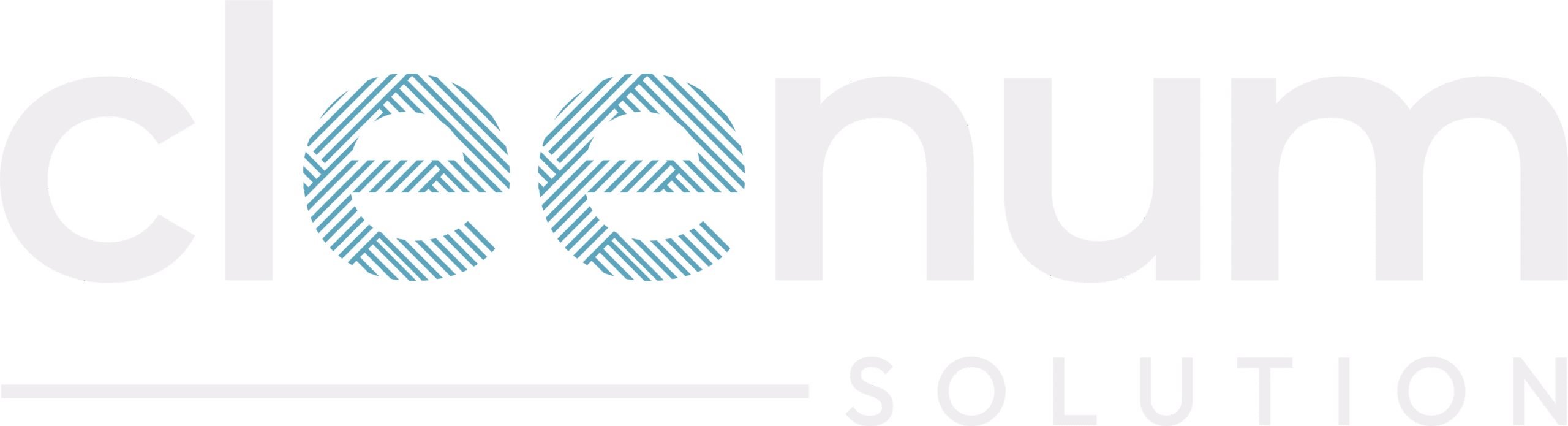 Cleenum Solution